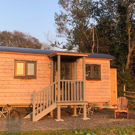 Lle Mary - Beautiful Views, Hot Tub, Secluded, Dog Welcome, Barmouth Llanddwywe Bagian luar foto