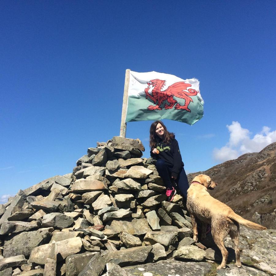 Lle Mary - Beautiful Views, Hot Tub, Secluded, Dog Welcome, Barmouth Llanddwywe Bagian luar foto
