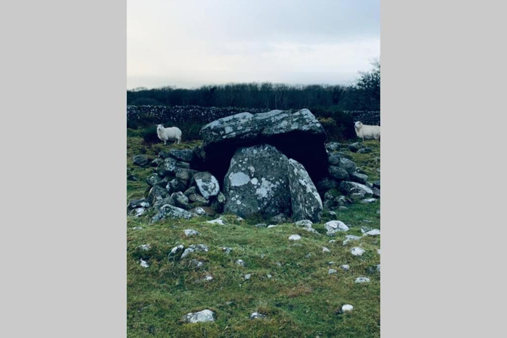 Lle Mary - Beautiful Views, Hot Tub, Secluded, Dog Welcome, Barmouth Llanddwywe Bagian luar foto
