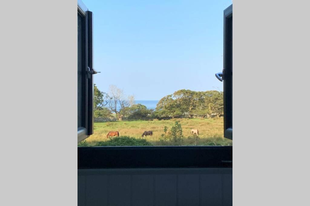 Lle Mary - Beautiful Views, Hot Tub, Secluded, Dog Welcome, Barmouth Llanddwywe Bagian luar foto
